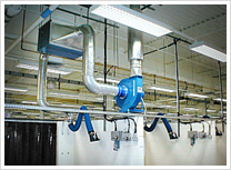 LEV Examination & Testing
