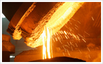 Occupational Hygiene